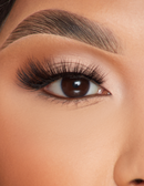 P.Louise Feather Flair Lashes